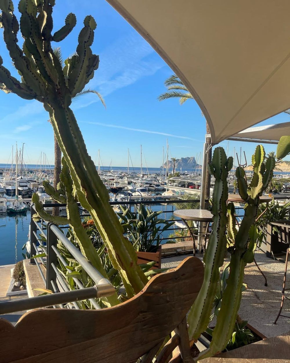 Restaurante club nautico Moraira9
